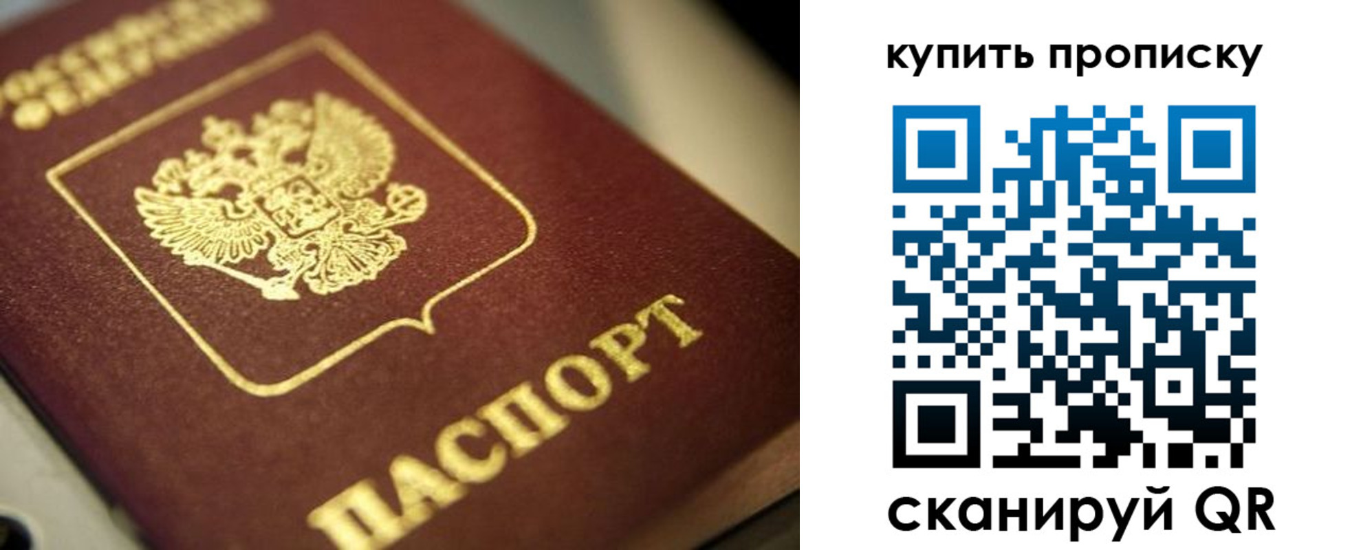 прописка поиск в Балтийске